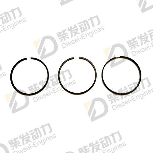 piston ring 276178
